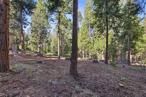 2388 Camanche Dr, Arnold, CA 95223 photo 3