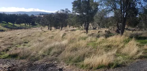 3556 Quail Hill Rd, Copperopolis, CA 95228 photo 1