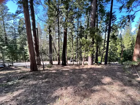 1786 Evergreen Dr, Arnold, CA 95223 photo 12