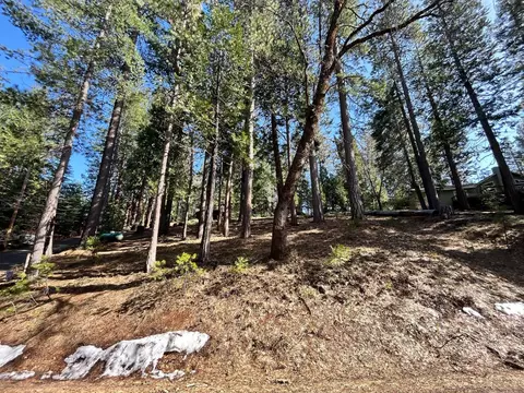 1786 Evergreen Dr, Arnold, CA 95223 photo 5