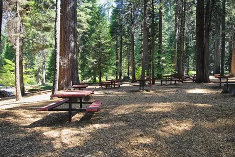 3301 El Camino Bootstrap, Dorrington, CA 95223 photo 43