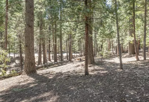 2619 Karock Rd, Dorrington, CA 95223 photo 3