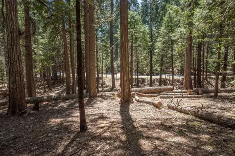 2619 Karock Rd, Dorrington, CA 95223 photo 1