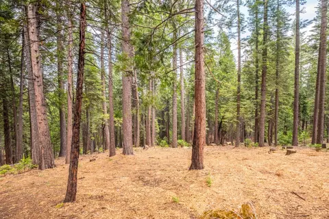 841 Yuroc Dr, Dorrington, CA 95223 photo 6