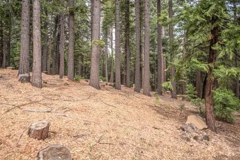 841 Yuroc Dr, Dorrington, CA 95223 photo 5