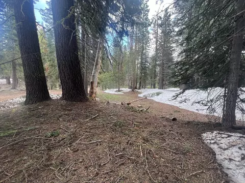151 Schimke, Bear Valley, CA 95223 photo 2