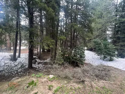 151 Schimke, Bear Valley, CA 95223 photo 7