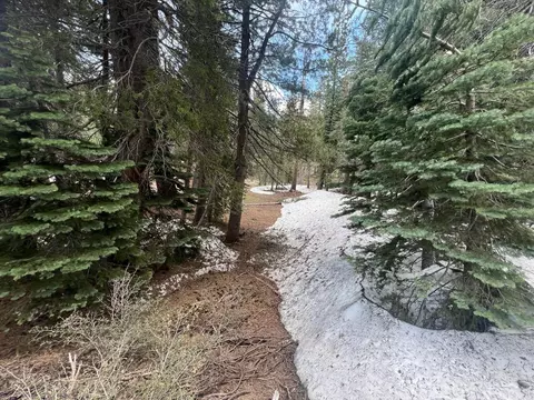 151 Schimke, Bear Valley, CA 95223 photo 5