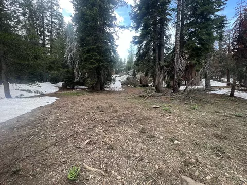 151 Schimke, Bear Valley, CA 95223 photo 3