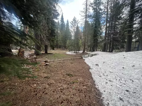 151 Schimke, Bear Valley, CA 95223 photo 4