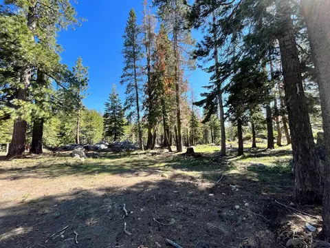 464 Juniper Cir, Tamarack, CA 95223 photo 7