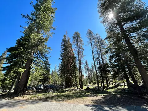 464 Juniper Cir, Tamarack, CA 95223 photo 8