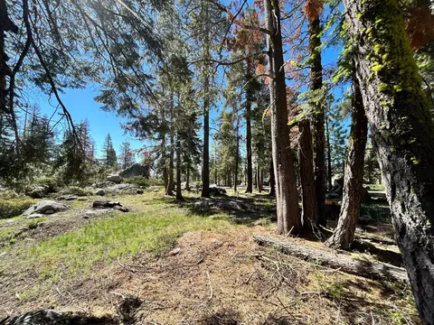 464 Juniper Cir, Tamarack, CA 95223 photo 4
