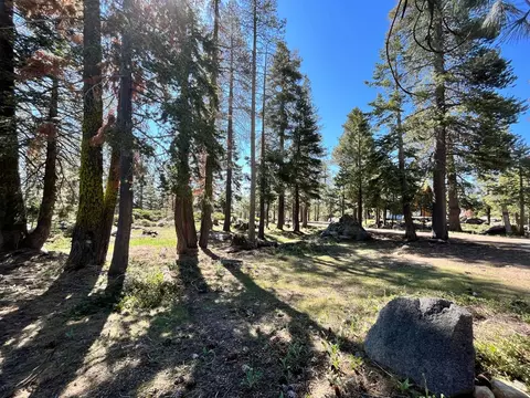 464 Juniper Cir, Tamarack, CA 95223 photo 6
