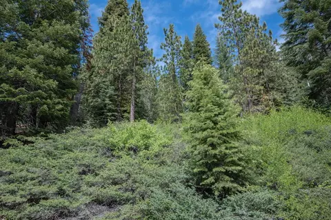 51 Liberty Rd, Dorrington, CA 95223