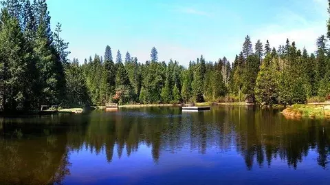2331 Hangtree Trl, Dorrington, CA 95223 photo 43
