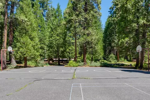 3100 Tahos Dr, Dorrington, CA 95223 photo 36