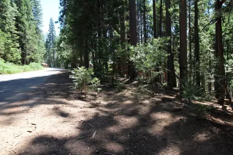 1450 Karock Rd, Dorrington, CA 95223 photo 12