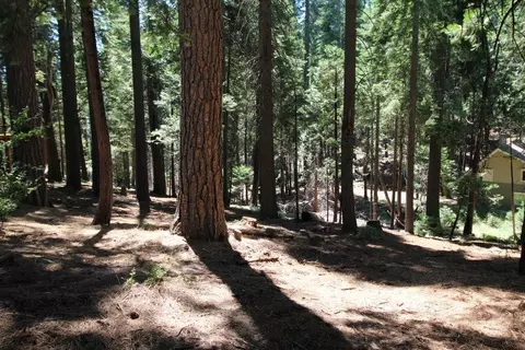 1450 Karock Rd, Dorrington, CA 95223 photo 9