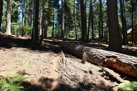 1450 Karock Rd, Dorrington, CA 95223 photo 5