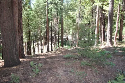 1450 Karock Rd, Dorrington, CA 95223 photo 11