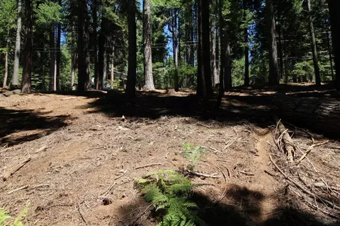 1450 Karock Rd, Dorrington, CA 95223 photo 6