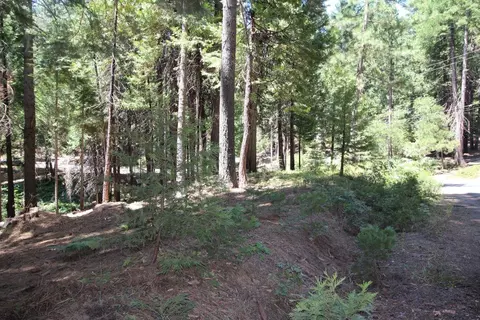 1450 Karock Rd, Dorrington, CA 95223 photo 10