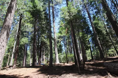 1450 Karock Rd, Dorrington, CA 95223 photo 3