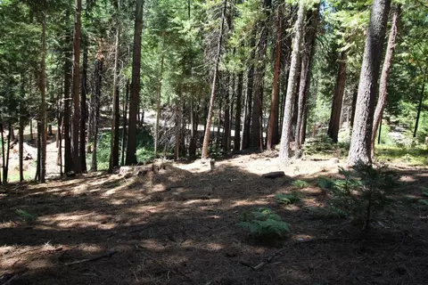 1450 Karock Rd, Dorrington, CA 95223 photo 8