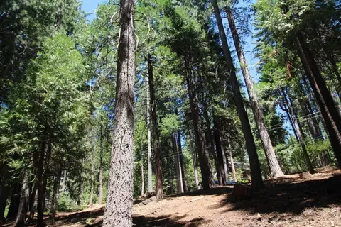 1450 Karock Rd, Dorrington, CA 95223 photo 2