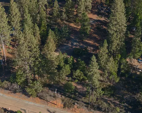 1685 Lightning Ln, Arnold, CA 95223 photo 10