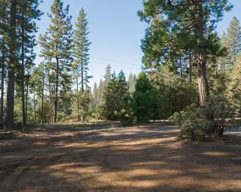 1685 Lightning Ln, Arnold, CA 95223 photo 1
