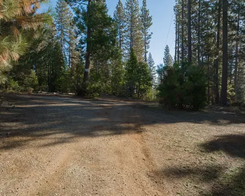 1685 Lightning Ln, Arnold, CA 95223 photo 6