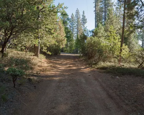 1685 Lightning Ln, Arnold, CA 95223 photo 5