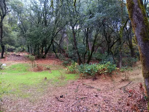 1621 Coyote Dr, Murphys, CA 95247 photo 2