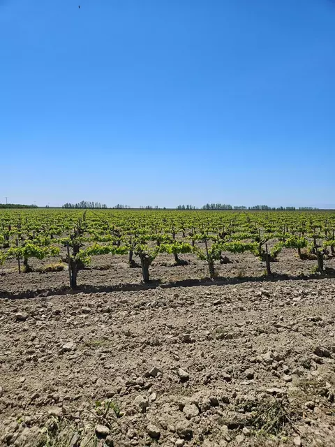 0 W North Ave, Kerman, CA 93630