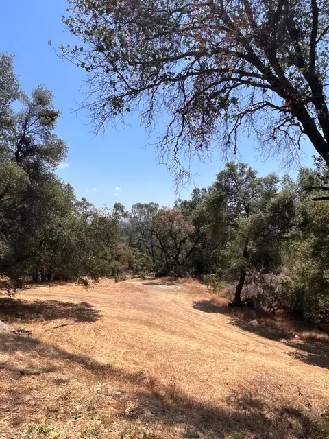 5422 Carleton, Mariposa, CA 95338 photo 46