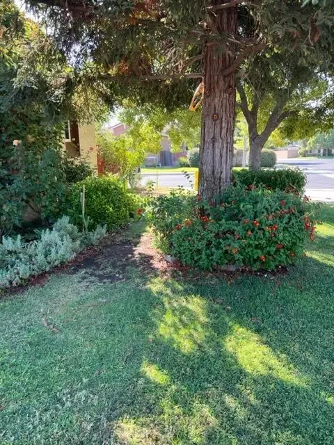 973 Ryan Ave, Clovis, CA 93611 photo 4