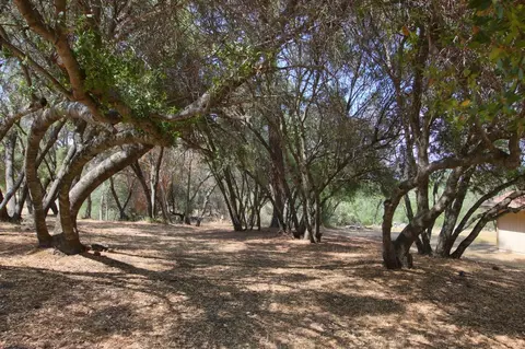 30709 Longview Ln, Coarsegold, CA 93614 photo 29