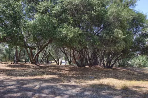 30709 Longview Ln, Coarsegold, CA 93614 photo 28