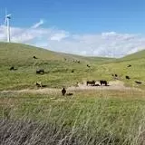 13749 Altamont Pass Rd, Livermore, CA 94550 photo 12