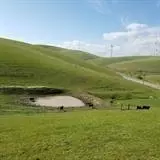 13749 Altamont Pass Rd, Livermore, CA 94550 photo 7
