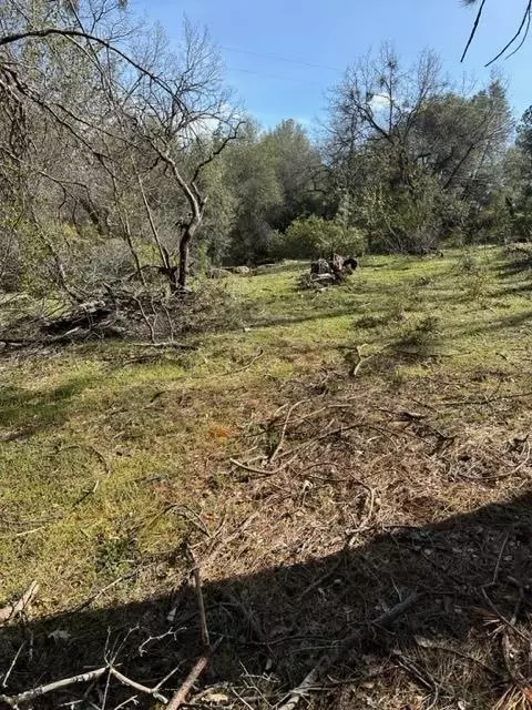 6294 Arch Ln, Placerville, CA 95667 photo 4