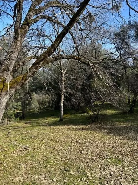 6294 Arch Ln, Placerville, CA 95667 photo 13