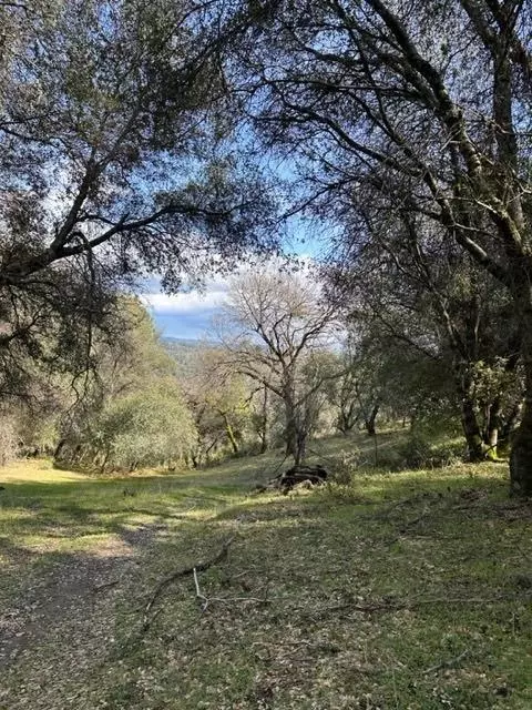 6294 Arch Ln, Placerville, CA 95667 photo 7