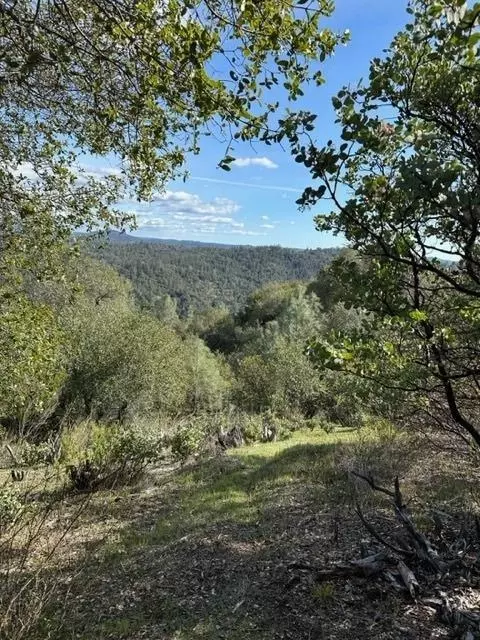 6294 Arch Ln, Placerville, CA 95667 photo 16