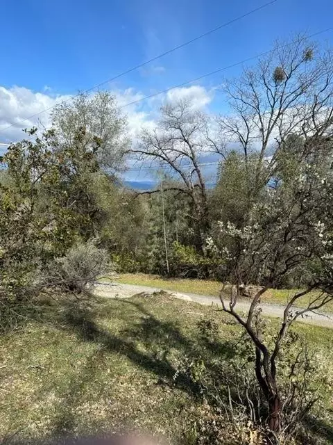 6294 Arch Ln, Placerville, CA 95667 photo 5