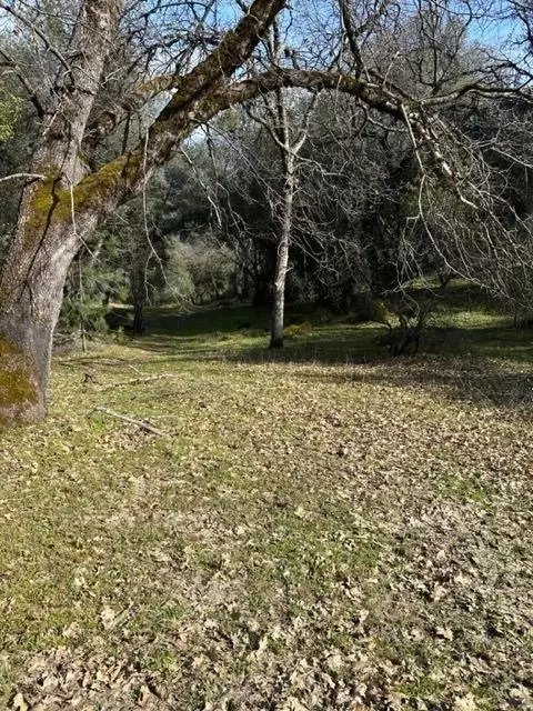 6294 Arch Ln, Placerville, CA 95667 photo 10