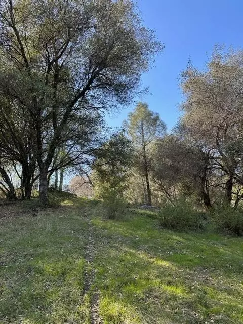 6294 Arch Ln, Placerville, CA 95667 photo 17