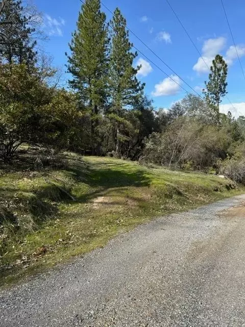 6294 Arch Ln, Placerville, CA 95667 photo 12